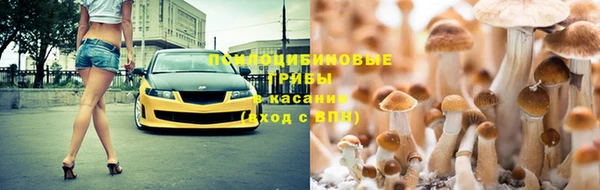 Альфа ПВП Алзамай