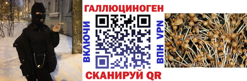 Галлюциногенные грибы Cubensis  Славск 